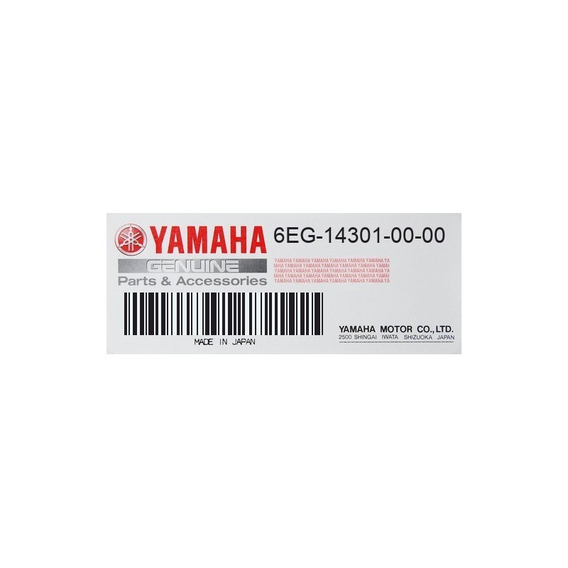 Carburador completo Yamaha F2.5B - 6EG-14301-00