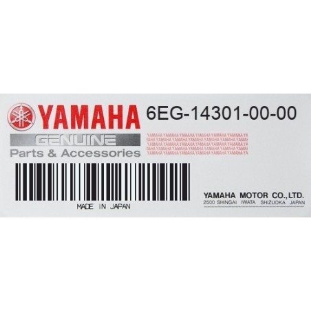 Carburador completo Yamaha F2.5B - 6EG-14301-00
