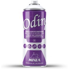 Spray Antioxidante Odin 400ml