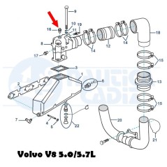 Tapon laton 3850740  Volvo V8  5.0 - 5.7L