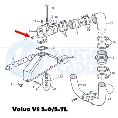 Tapon laton 3852135  Volvo V8  5.0 - 5.7L