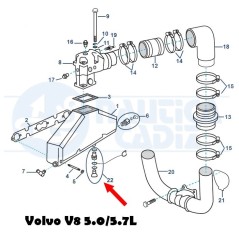 Tapon drenaje 21114522 Volvo V8  5.0 - 5.7L